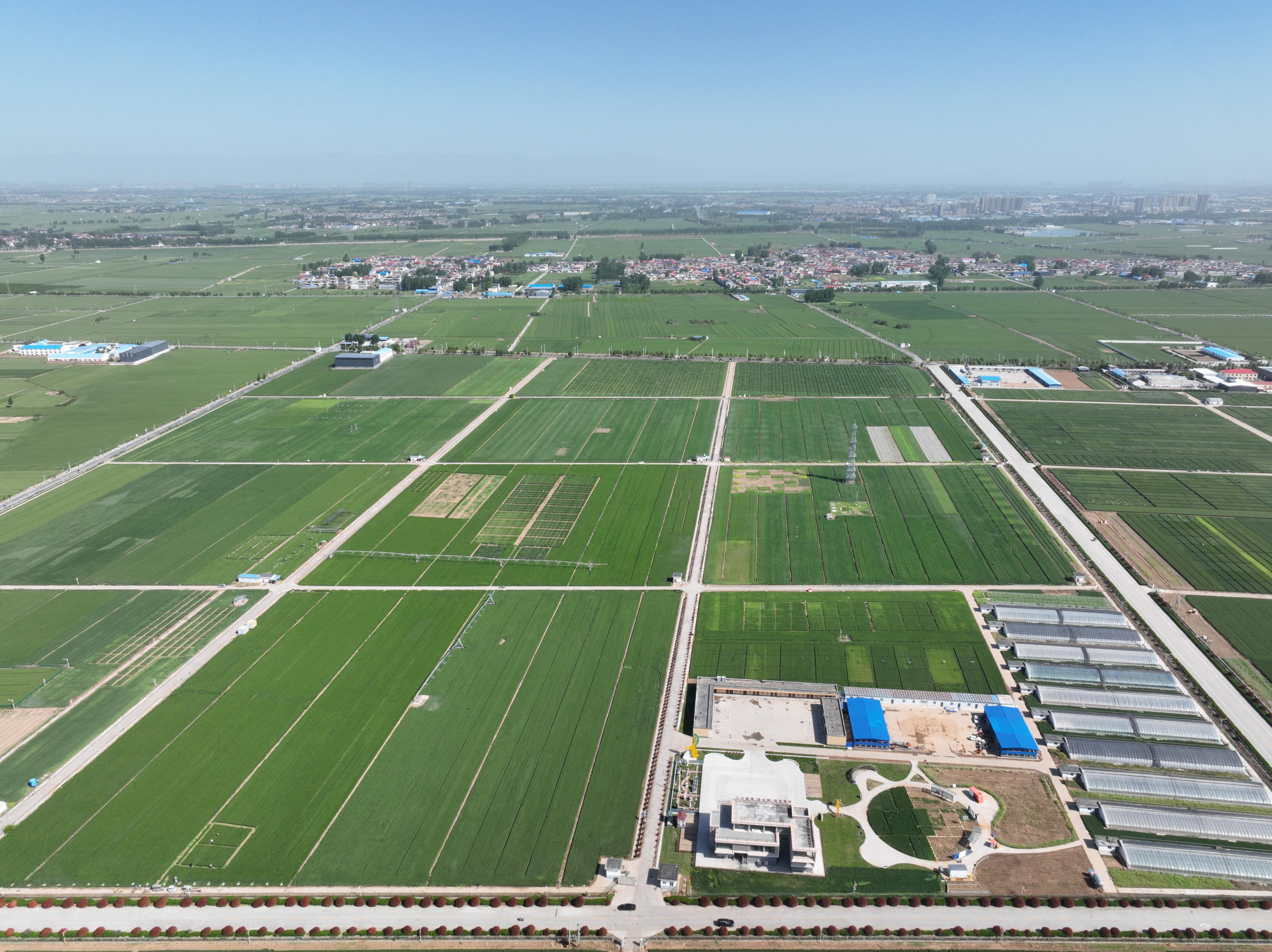 俯瞰水利部灌溉試驗(yàn)總站試驗(yàn)研究基地。受訪者供圖